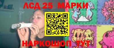 альфа пвп Владикавказ
