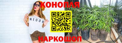 альфа пвп Владикавказ