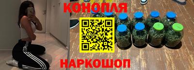 альфа пвп Владикавказ