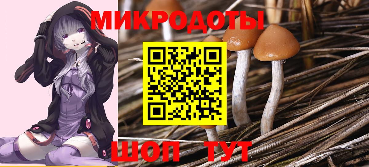 Псилоцибиновые грибы Psilocybine cubensis  дарнет шоп  Астрахань  Вход с VPN 